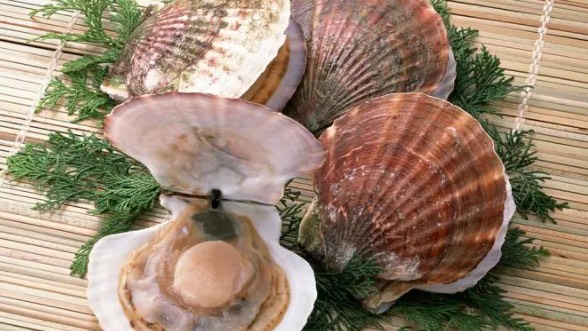 网络图片(侵删) 网络图片(侵删)