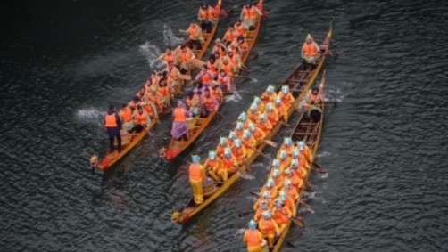 网络图片(侵删) 网络图片(侵删)
