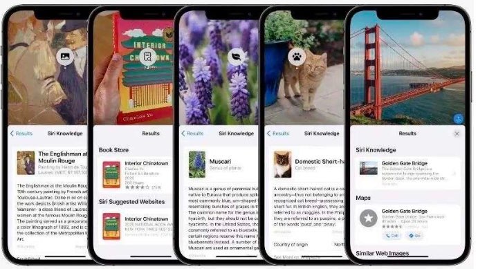 网络图片(侵删) 网络图片(侵删)