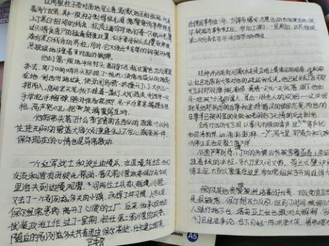 网络图片(侵删) 网络图片(侵删)