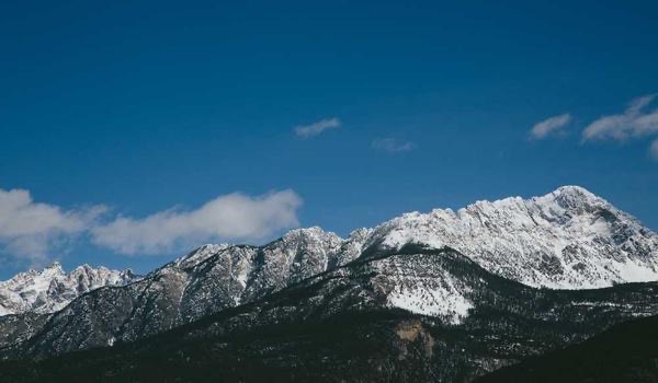 网络图片(侵删) 网络图片(侵删)