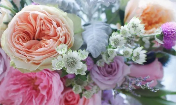 网络图片(侵删) 网络图片(侵删)