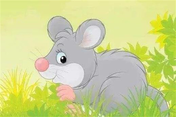 网络图片(侵删) 网络图片(侵删)