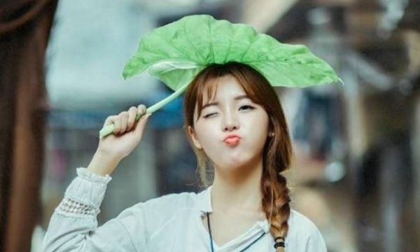 网络图片(侵删) 网络图片(侵删)