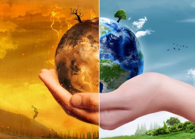 网络配图 网络配图