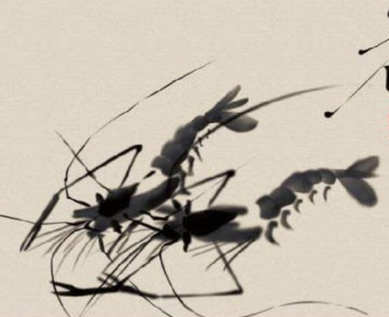 网络配图 网络配图