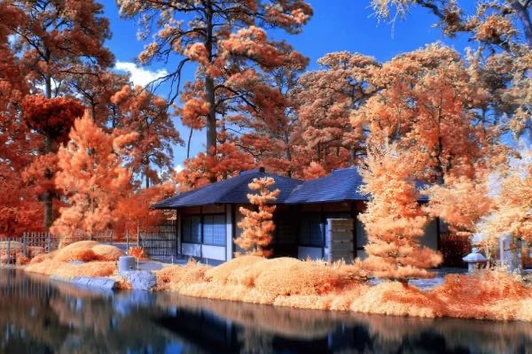 网络配图 网络配图