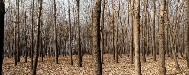 网络配图 网络配图