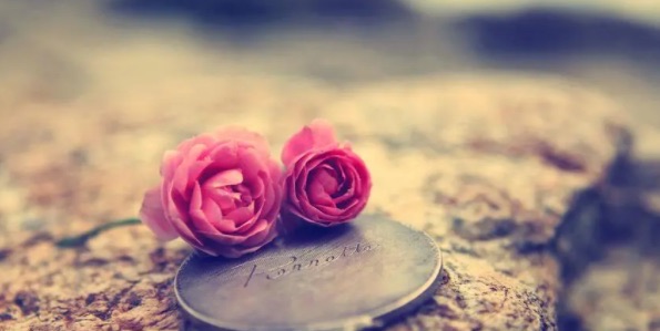 网络配图 网络配图