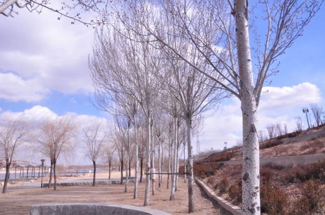 网络配图 网络配图