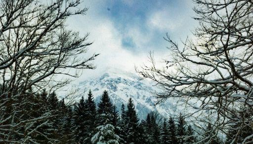 网络配图 网络配图