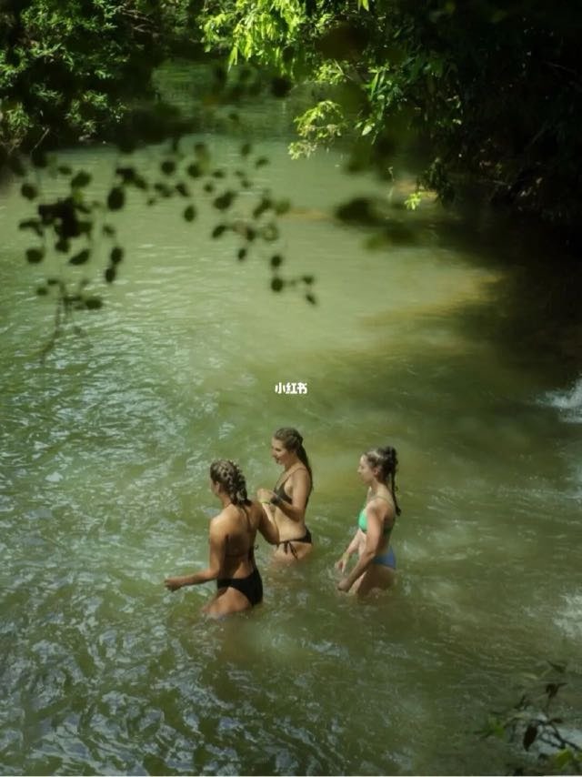 网络图片(侵删) 网络图片(侵删)