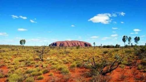 网络图片(侵删) 网络图片(侵删)