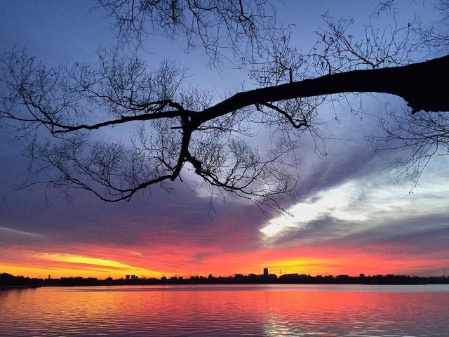 网络配图 网络配图