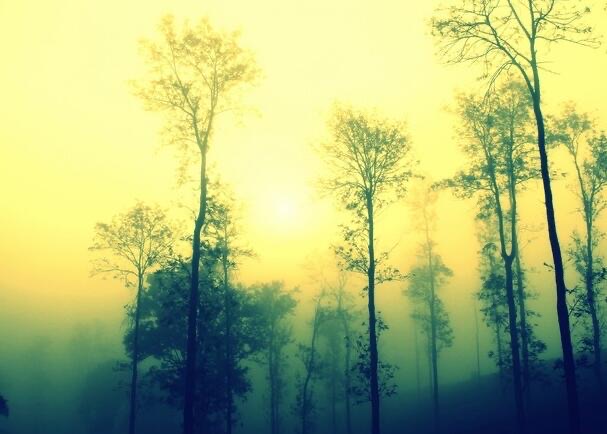 网络配图 网络配图