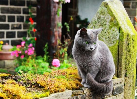 网络配图 网络配图