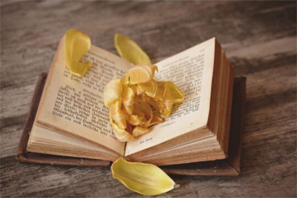 网络配图 网络配图