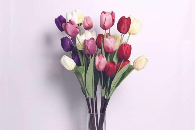 网络配图 网络配图