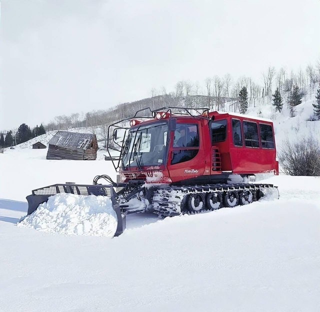 网络图片(侵删) 网络图片(侵删)
