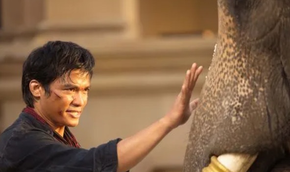 网络图片(侵删) 网络图片(侵删)