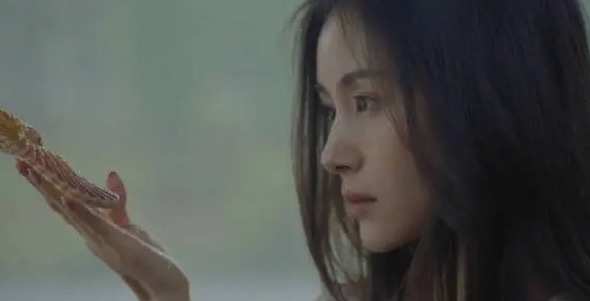 网络图片(侵删) 网络图片(侵删)