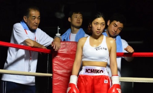 网络图片(侵删) 网络图片(侵删)