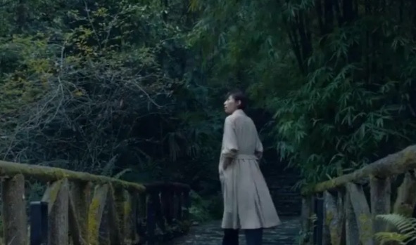 网络图片(侵删) 网络图片(侵删)