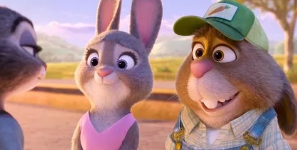 网络配图 网络配图