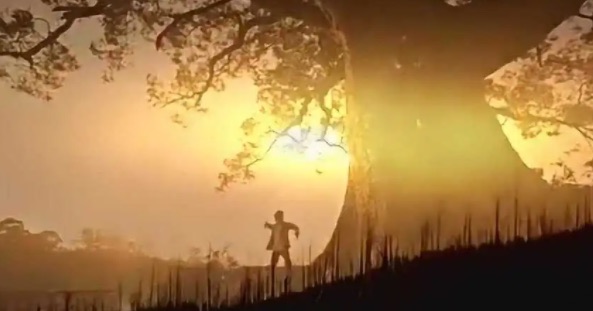 网络配图 网络配图