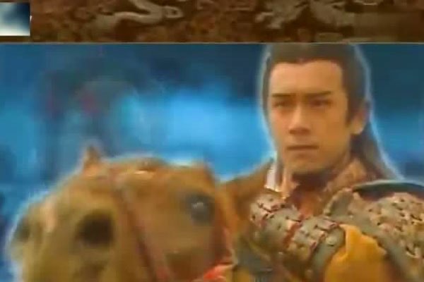 网络配图 网络配图