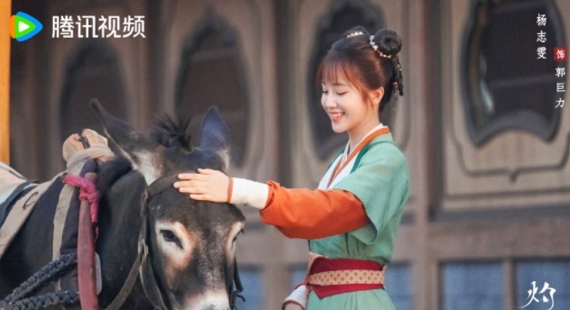 网络配图 网络配图