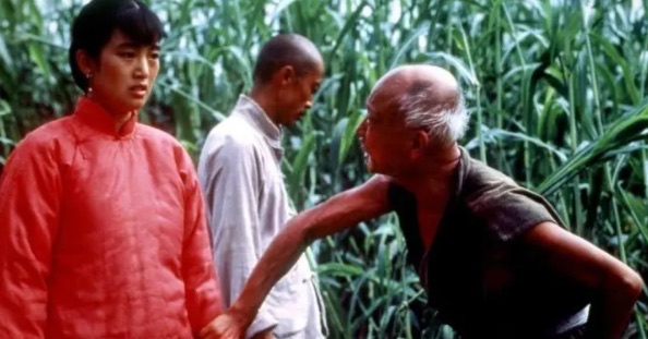 网络配图 网络配图