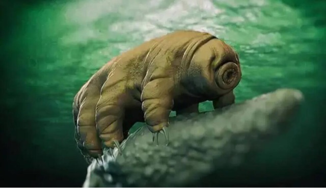 网络图片(侵删) 网络图片(侵删)