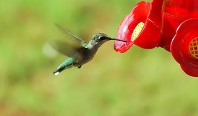 网络图片(侵删) 网络图片(侵删)