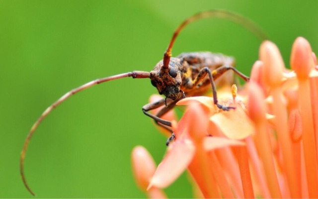网络图片(侵删) 网络图片(侵删)