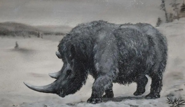 网络图片(侵删) 网络图片(侵删)