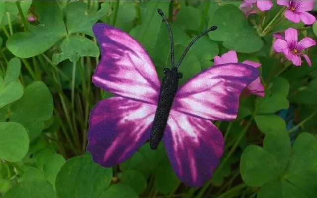 网络图片(侵删) 网络图片(侵删)