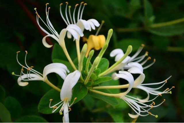 网络图片(侵删) 网络图片(侵删)