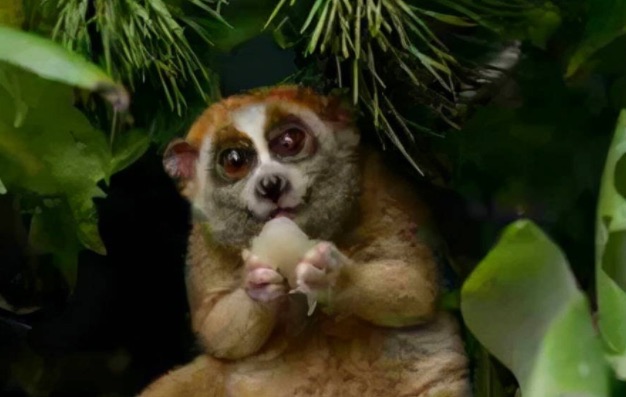 网络图片(侵删) 网络图片(侵删)