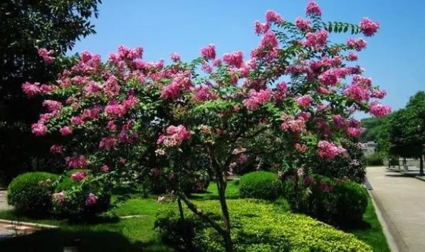 网络图片(侵删) 网络图片(侵删)