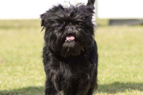 网络图片(侵删) 网络图片(侵删)