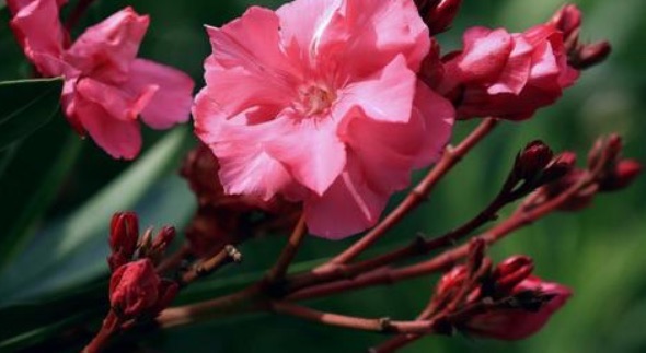 网络配图 网络配图