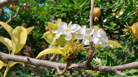 网络配图 网络配图