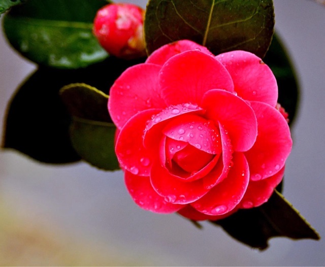 网络配图 网络配图