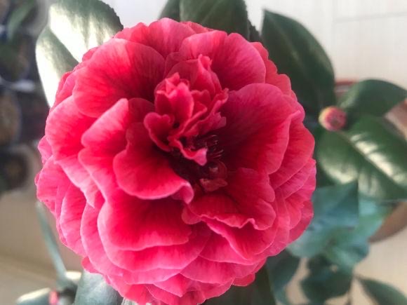 网络配图 网络配图