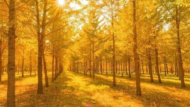 网络配图 网络配图