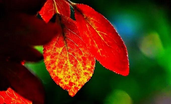 网络配图 网络配图