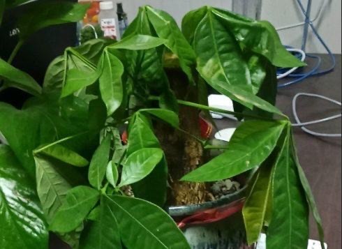 网络配图 网络配图