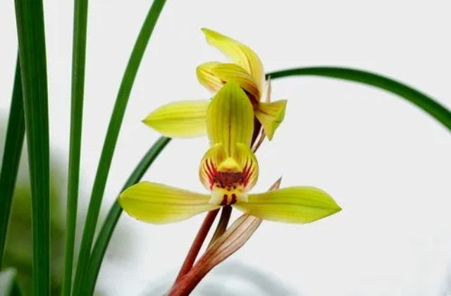 网络配图 网络配图