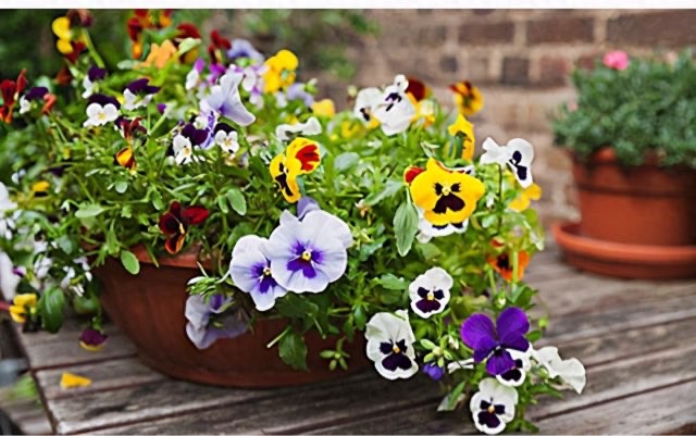 网络配图 网络配图